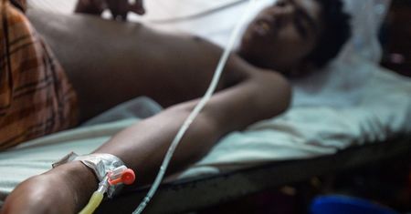 Komary migrują przez globalne ocieplenie. Grozi nam światowa epidemia?