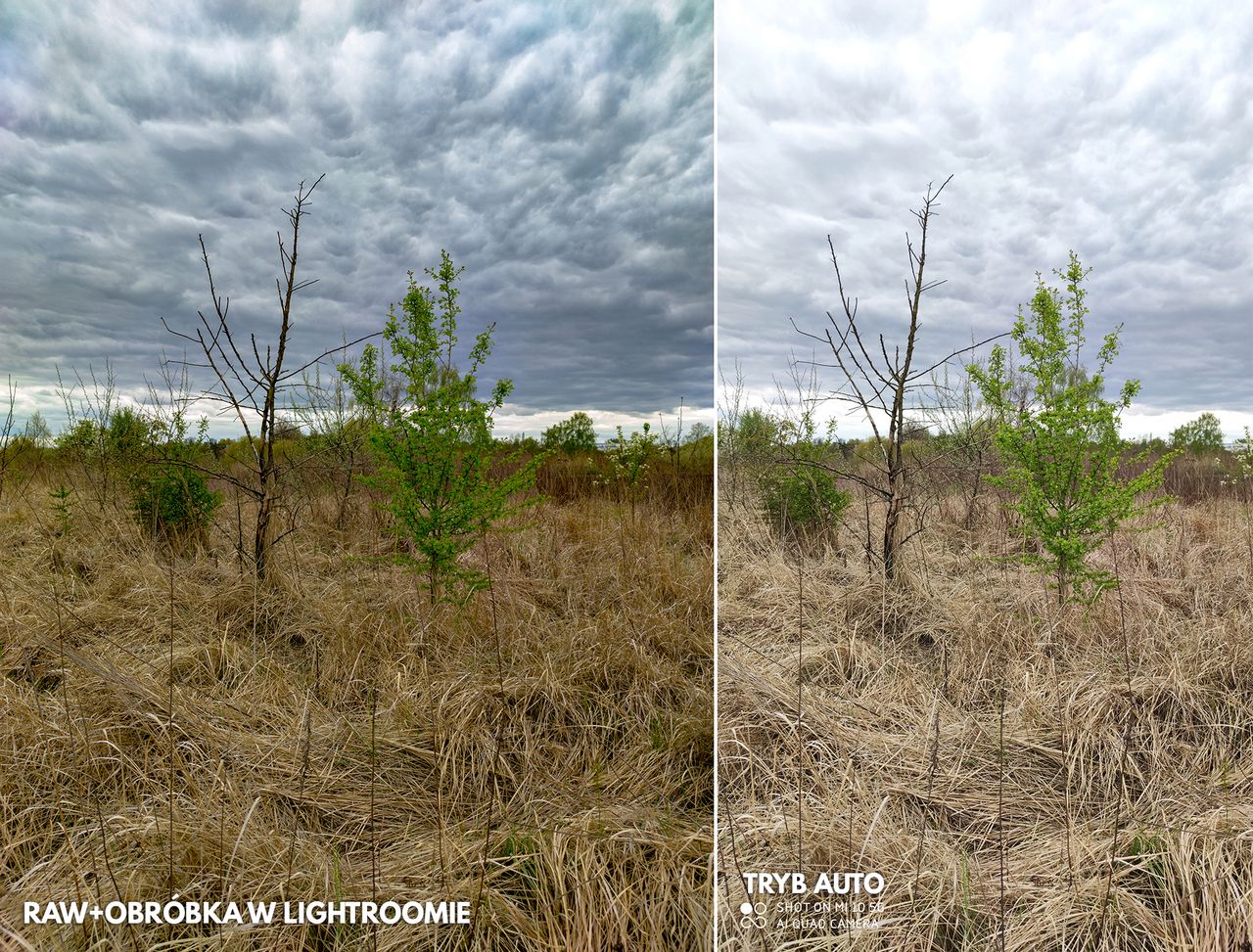 Po lewej zdjęcie w formacie RAW wywołane w Adobe Lightroom, po prawej zdjęcie z trybu zwykłego (25 mm, 1/400 s, f/1.7, ISO 63)