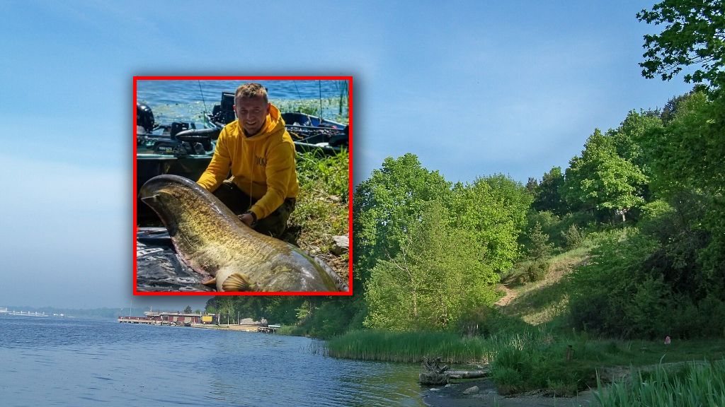 Wędkarz złowił suma o długości 220 cm