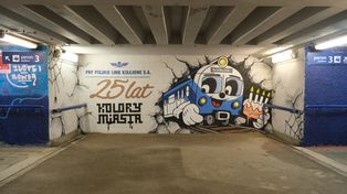 Kolejowe graffiti w tunelu przystanku Lublin Północny. Pierwsza taka akcja z artystami w Polsce