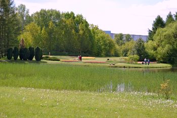 Łódź: Bajkowa jesień w Ogrodzie Botanicznym. Przebarwiają się liście