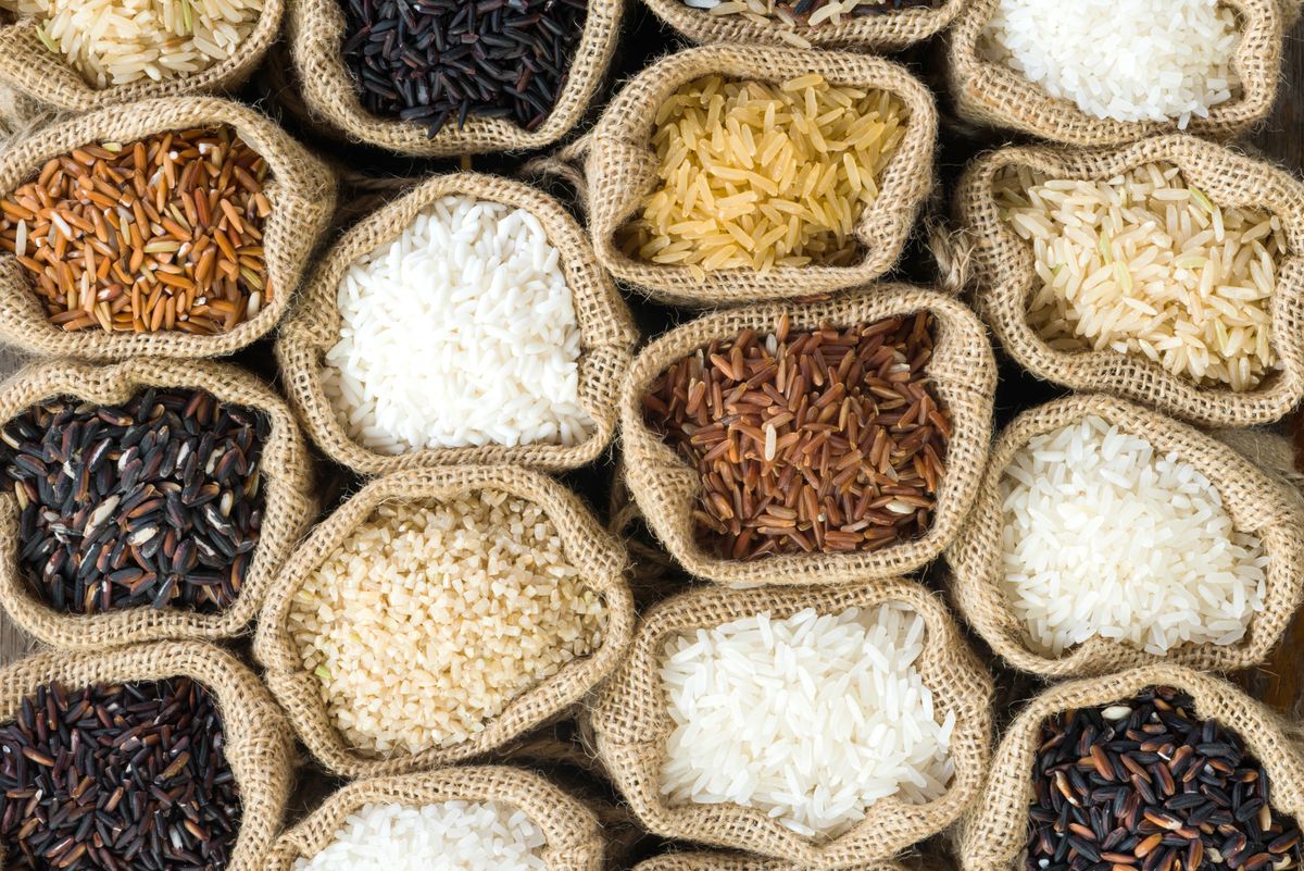 Różne rodzaje ryżu