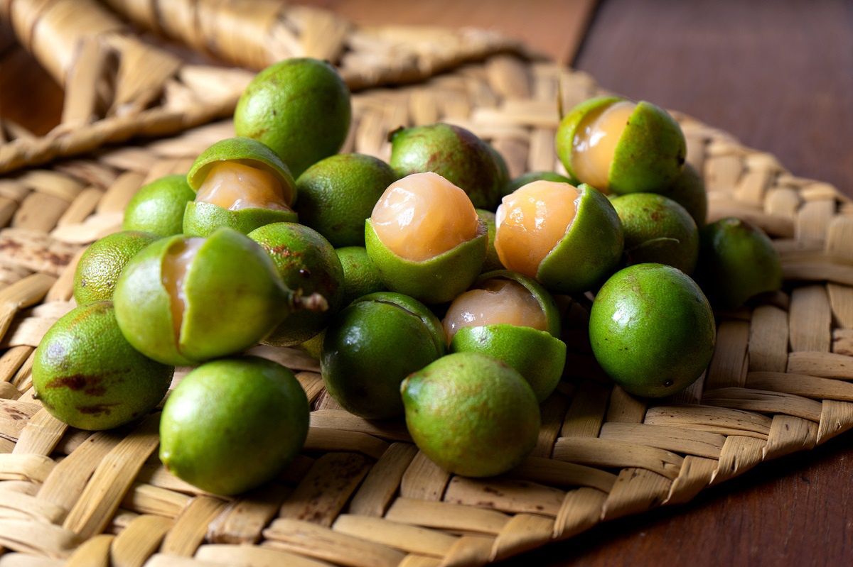 Tropical fruit mamoncillo