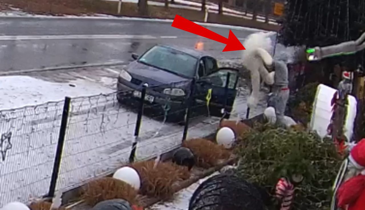 Wstyd na całą Polskę. Zakapturzony mężczyzna wskoczył na posesję