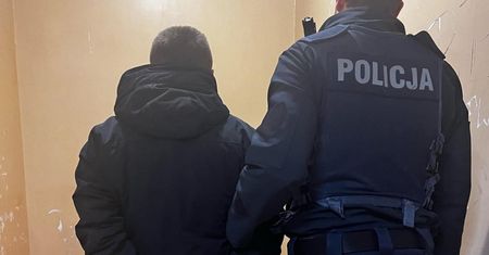 29-latek skatował szczeniaka. Usłyszał wyrok