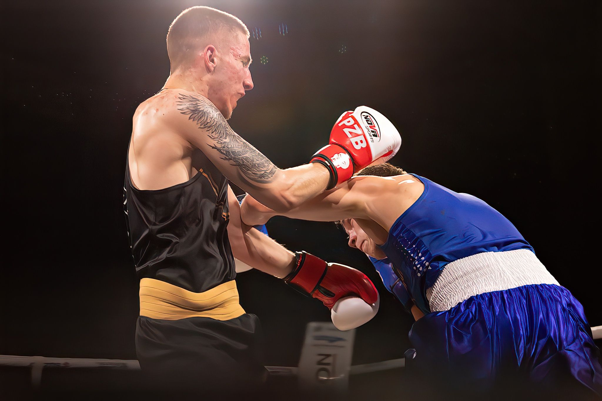 Polska Liga Boksu Pomorzanin Boxing Team - Imperium Wałbrzych