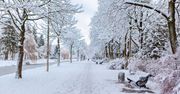 Krajobraz Torunia widocznie się zabieli! Śnieg spadnie nie tylko dzisiaj