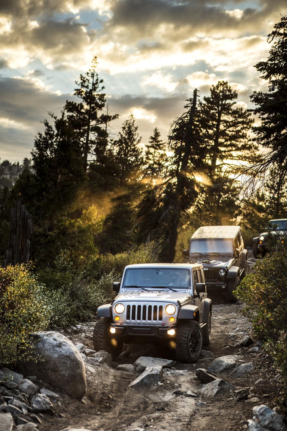 Jeep Wrangler Rubicon 10th Anniversary Edition