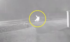 Nikt się nie zatrzymywał. Wstrząsające nagranie z udziałem seniorki