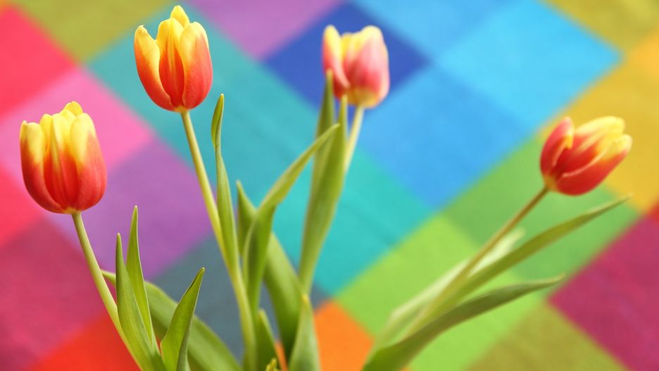 Dzień Babci i Dziadka 2019 - propozycje życzeń i wierszyków z okazji Dnia Babci i Dziadka