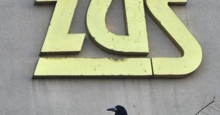 Emerytura za pracę przy komputerze. ZUS przegrał w sądzie z poszkodowaną