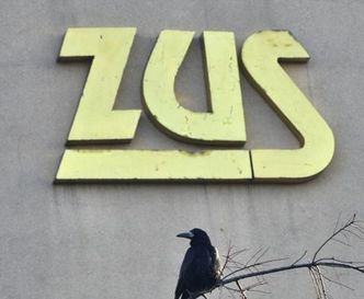 Emerytura za pracę przy komputerze. ZUS przegrał w sądzie z poszkodowaną