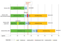 "Niekonstytucyjny urlop macierzyński"