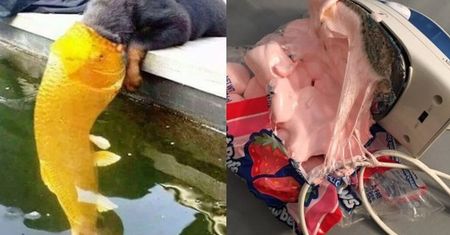 Zaliczyli niezłą wpadkę. I jeszcze się tym chwalą