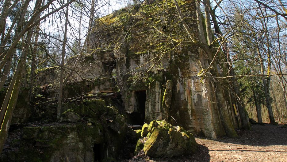 Lasy Państwowe zarabiają miliony na turystach. Tłumy chcą zwiedzać kwatery, w których mieszkał Adolf Hitler.