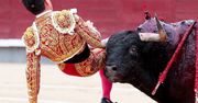 Pierwszy byk zginął z ręki matadora. Drugie zwierzę wzięło odwet