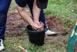 Skandaliczne słowa gminy do mieszkańców. "Podłączymy im wodę, będą chcieli więcej"