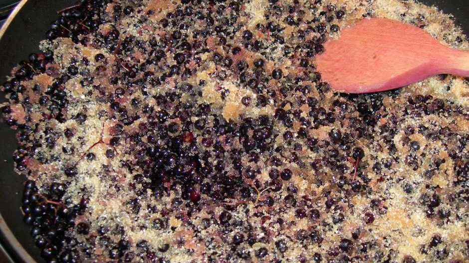 Rosną praktycznie wszędzie. Niektórzy nazywają je "polskimi kaparami"