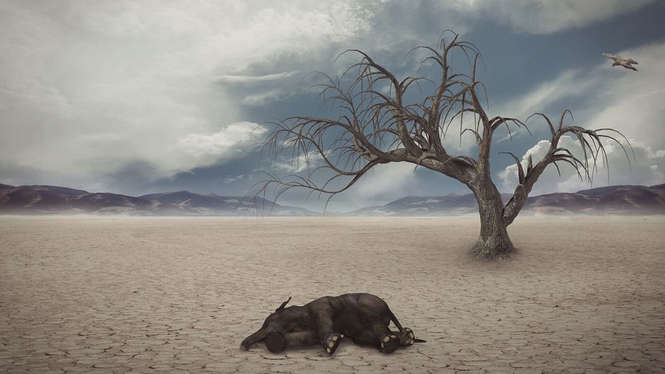 Zmian klimatycznych nie cofnie redukcja dwutlenku węgla