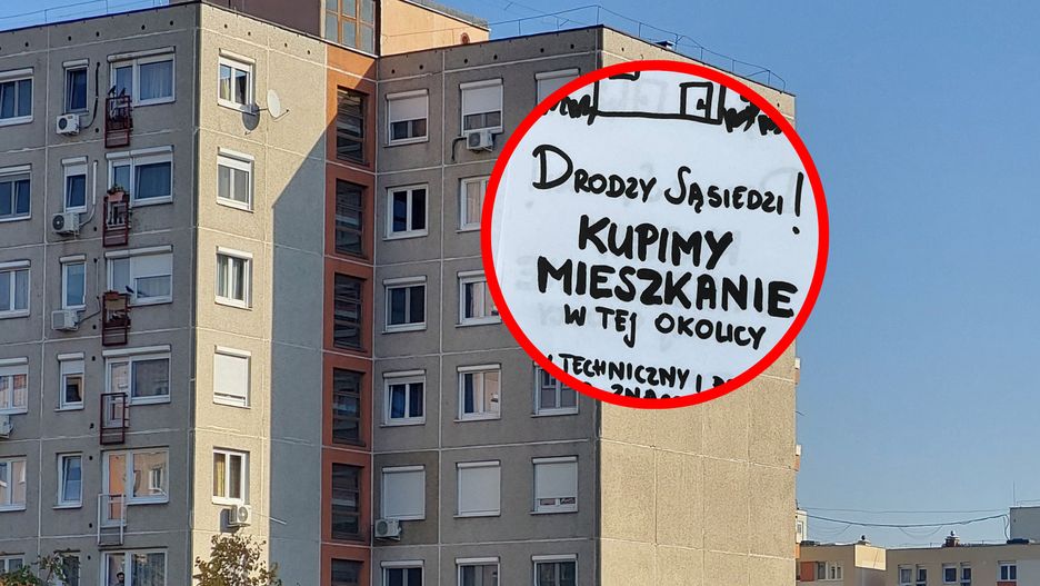 Flipperzy starają się grać na emocjach osób, które chcą wykorzystać