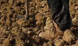 Jeździł autem po polach. Ogromne straty. Policja szuka kierowcy