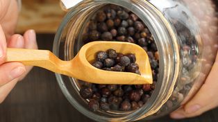 Babcia zbierała w lesie i suszyła. Te kuleczki to ratunek dla przeciążonego żołądka