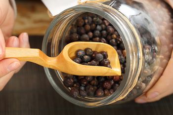 Babcia zbierała w lesie i suszyła. Te kuleczki to ratunek dla przeciążonego żołądka