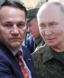 Słowa Sikorskiego ruszyły Putina i jego ludzi? "Elity Rosji działają jak uliczni żule"