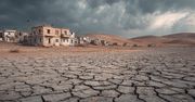 Syria na skraju kryzysu żywnościowego. Najgorsza susza od 36 lat pustoszy pola pszenicy