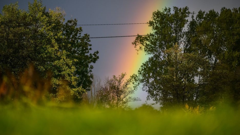 Bajeczna tęcza na Żuławach