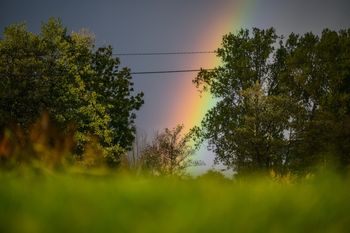 Pomorskie: Tęcza na Żuławach. To malownicze zjawisko można było w sobotę kilkakrotnie obserwować w wielu miejscach/ ZDJĘCIA