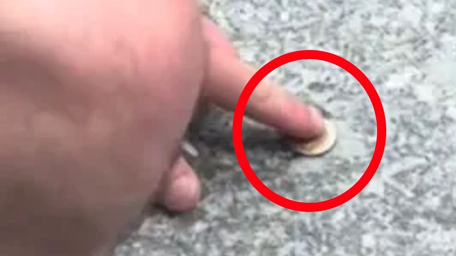 Legniczanie przykleili monetę do chodnika