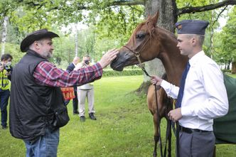 Janowska stadnina sprzedała klacz za 1/3 ceny. CBA na tropie transakcji