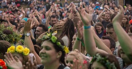 Kazimiernikejszyn 2019. Na scenie wystąpią m.in. Mela Koteluk, Organek, Kult i Zalewski