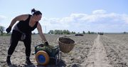 Praca sezonowa za granicą. Zmieniły się motywacje Polaków