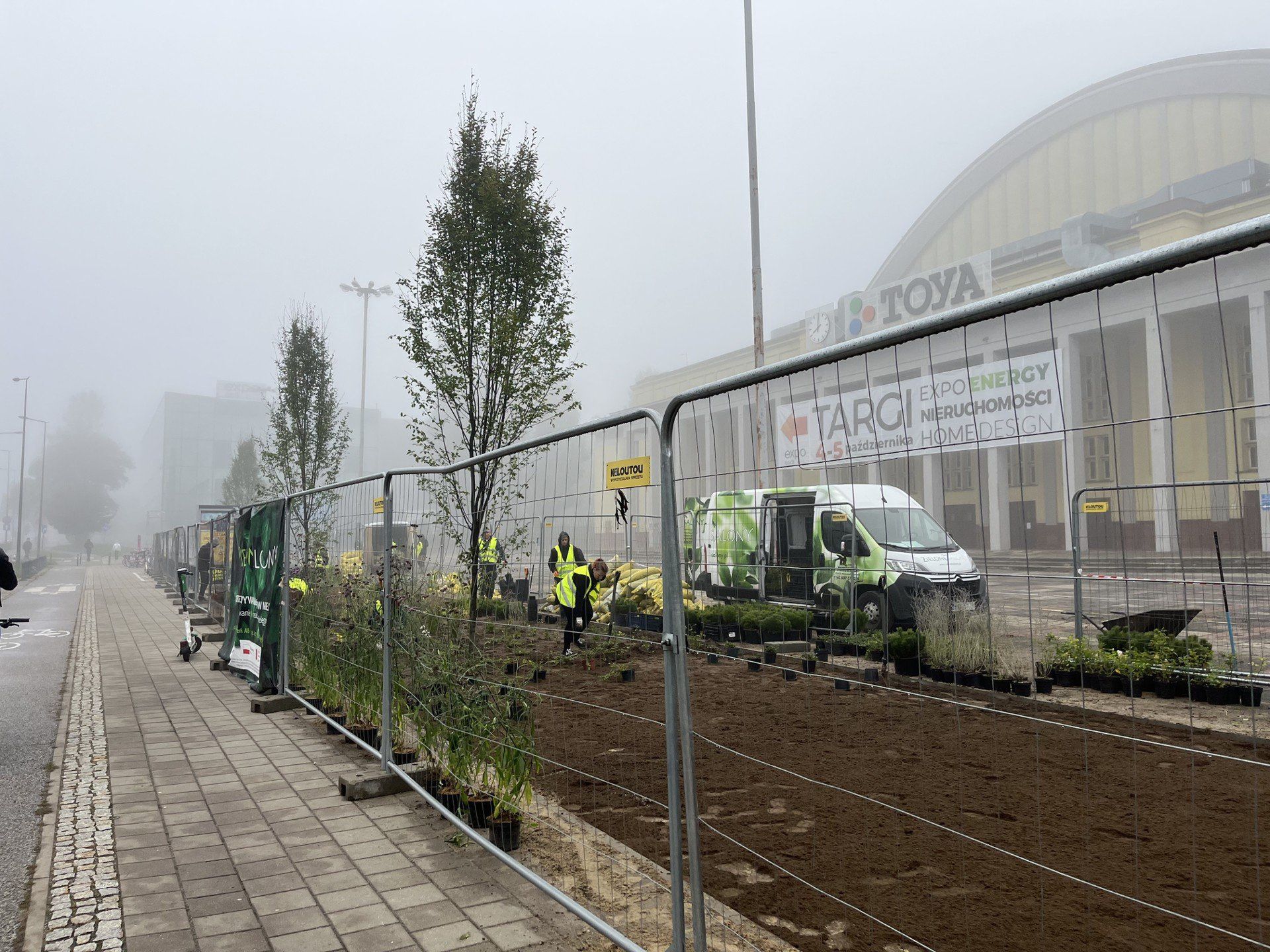 Koniec z betonozą? Nowe drzewka przed Halą EXPO