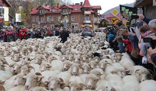 Turyści czekają cały rok. Wielkie wydarzenie lada moment