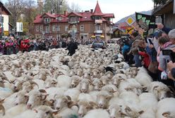 Turyści czekają cały rok. Wielkie wydarzenie lada moment