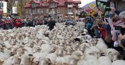 Turyści czekają cały rok. Wielkie wydarzenie lada moment