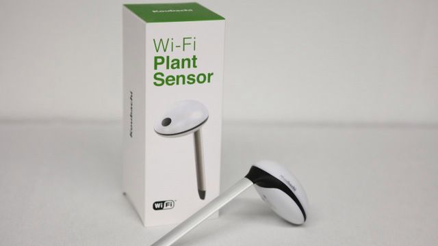 Cyberuprawa w domowym zaciszu z Koubachi 1