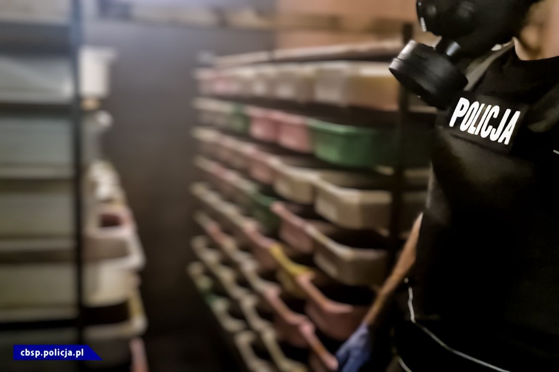 Służby zlikwidowały jedną z największych fabryk narkotyków w Polsce