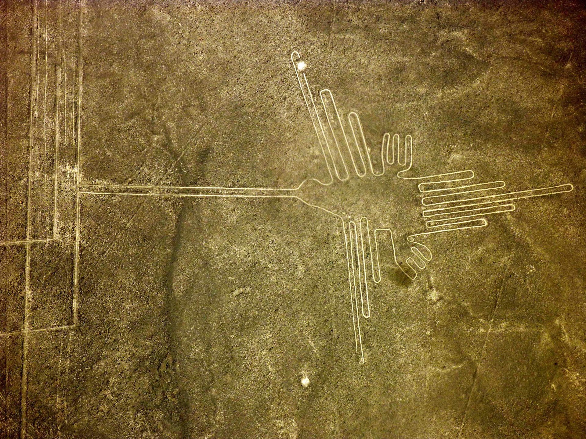 Jeden z rysunków w dolinie Nazca