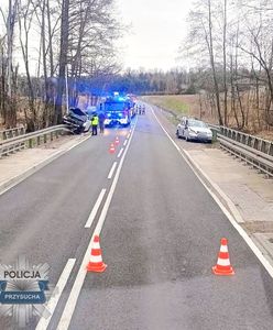 Wypadek z udziałem prof. Jerzego Bralczyka. Policja bada okoliczności