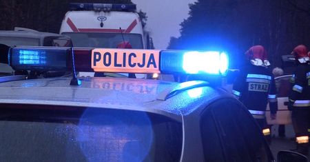 Poważny wypadek koło Podanina. 8 osób rannych na DK11