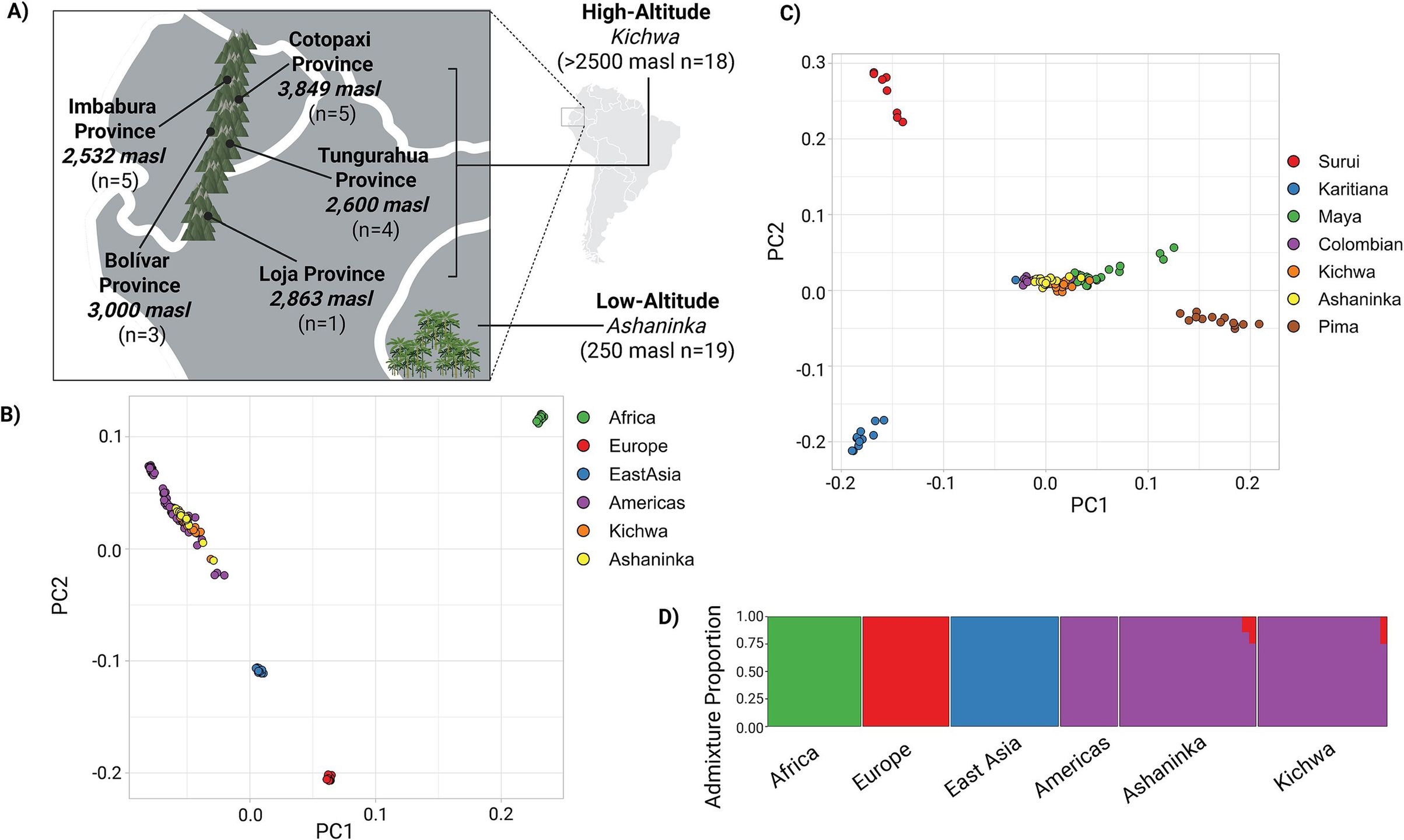 Analiza demograficzna i pochodzenia
