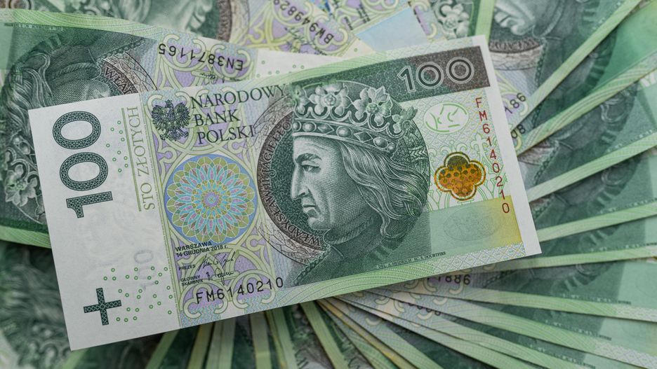 waluta, pln, gotówka, finanse, bogactwo, 100, bank, papier, banknoty, banknot, tax