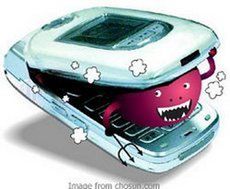 Twórca komórkowego wirusa aresztowany 1