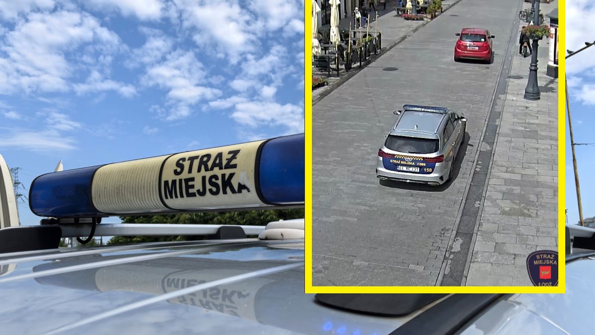 96-latek nie miał prawa jazdy