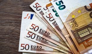 Szukają Polaków do pracy. W przeliczeniu płacą 4 tys. zł tygodniowo