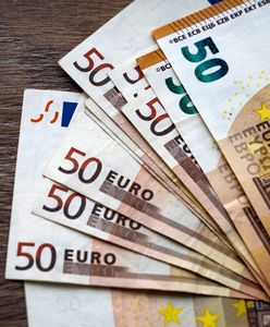 Szukają Polaków do pracy. W przeliczeniu płacą 4 tys. zł tygodniowo